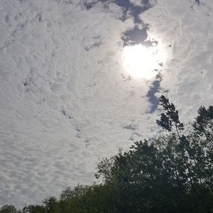 Meet your Posher, Janelle